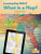 What Is a Map? - 9781039661691 by Kerri Mazzarella, 9781039661691