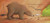 Bear Says Thanks - 9781665942447 by Karma Wilson, Jane Chapman