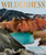 Wilderness: The Most Sensational Natural Places on Earth by Penny Watson, 9781741178142