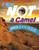 I Am Not a Camel (Animals in the Desert) by Mari Bolte, 9780756573669