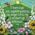 Louise Hay's Affirmations for Forgiveness (A 12-Card Deck to Release Your Past and Move into Love) by Louise Hay, 9781401974619