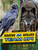 Ravens and Wolves Team Up! - 9781669048725 by Stephanie True Peters, 9781669048725