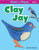 Clay Jay - 9798888220511 by Anita Stasson, 9798888220511