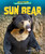 Sun Bear by Rachel Rose, 9798888221785