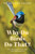 Why Do Birds Do That? (Over fifty answers to the most often asked questions) by Grainne Cleary, 9781761067235