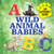 Wild Animal Babies (An Alphabet Book) by Katie T. Christiansen, 9781647391102