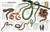 Eyewitness Reptile - 9780744084788 by Colin McCarthy