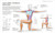 Science of Stretch (Reach Your Flexible Potential, Stay Active, Maximize Mobility) by Dr. Leada Malek, 9780744084474