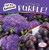 My Food Is Purple! by Kathleen Connors, 9781538285053