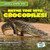 Rhyme Time with Crocodiles! - 9781538285305 by Leigh McClure, 9781538285305