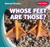 Whose Feet Are Those? by Mary Griffin, 9781538286401