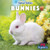 Bunnies - 9781642825046 by Theresa Emminizer, 9781642825046