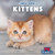 Kittens - 9781642825091 by Theresa Emminizer, 9781642825091