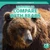 Learning to Compare with Bears - 9781642825619 by Ursula Pang, 9781642825619