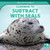Learning to Subtract with Seals by Ursula Pang, 9781642825695
