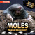 Moles Make Mischief! - 9781978534193 by Corina Jeffries, 9781978534193