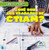 ¿Qué son los trabajos de CTIAM? (What Are STEAM Jobs?) by Theresa Emminizer, 9781538291115