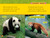 Red Pandas (National Geographic Kids Readers, Level 1) by Laura Marsh, National Geographic Kids, 9781426321214
