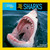 Face to Face with Sharks by Jennifer Hayes, 9781426332593
