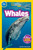 Whales (National Geographic Kids Readers, Pre-Reader) - 9781426337147 by Jennifer Szymanski, National Geographic Kids, 9781426337147