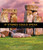 If Stones Could Speak (Unlocking the Secrets of Stonehenge) by Marc Aronson, 9781426305993