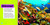 Explore My World: Coral Reefs by Jill Esbaum, 9781426329852