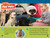 Animal Doctors (National Geographic Kids Readers, Level 1/Co-Reader) by Libby Romero, National Geographic Kids, 9781426373640