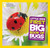 National Geographic Little Kids First Big Book of Bugs - 9781426317248 by Catherine D. Hughes, National Geographic Kids, 9781426317248