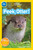 National Geographic Readers: Peek, Otter (Pre-Reader) - 9781426324376 by Shira Evans, National Geographic Kids, 9781426324376