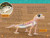 Adorable Animals (National Geographic Kids Readers, Level 2) - 9781426372728 by Mary Quattlebaum, National Geographic Kids