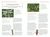 National Geographic Backyard Guide to Insects and Spiders of North America by Arthur V. Evans, 9781426217821