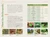National Geographic Backyard Guide to Insects and Spiders of North America by Arthur V. Evans, 9781426217821