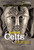National Geographic Investigates: Ancient Celts (Archaeology Unlocks the Secrets of the Celts' Past) by Jen Green, 9781426302251
