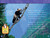 Pandas (National Geographic Kids Readers, Level 2) by Anne Schreiber, National Geographic Kids, 9781426306105