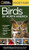 National Geographic Pocket Guide to the Birds of North America by Laura Erickson, 9781426210440