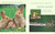 Everything Spring by Jill Esbaum, 9781426306075