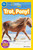 Trot, Pony! (National Geographic Kids Readers, Pre-Reader) by Shira Evans, National Geographic Kids, 9781426324130