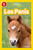 National Geographic Readers: Los Ponis (Ponies) (Spanish Edition) by Laura Marsh, 9781426324864
