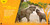 Go Wild! Elephants - 9781426372568 by Margie Markarian