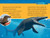 Prehistoric Sea Monsters (National Geographic Kids Readers, Level 2) - 9781426375170 by National Geographic Kids