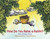 How Do You Raise a Raisin? by Pam Muñoz Ryan, Craig Brown, 9781570913983