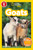 Goats (National Geographic Kids Readers, Level 1) - 9781426375521 by Rose Davidson, National Geographic Kids, 9781426375521