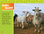 Goats (National Geographic Kids Readers, Level 1) - 9781426375521 by Rose Davidson, National Geographic Kids