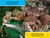 Forest Babies (National Geographic Kids Readers, Pre-Reader) by Elizabeth Carney, National Geographic Kids, 9781426339820