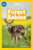 Forest Babies (National Geographic Kids Readers, Pre-Reader) - 9781426373701 by Elizabeth Carney, National Geographic Kids, 9781426373701