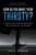 How Do You Make Them Thirsty? (A Road Map For Developing The Potential In Others) by Phil Weber, 9781642251982
