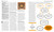 The Philosophy Book by DK, 9780744091960