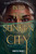 Into the Sunken City by Dinesh Thiru, 9780063310513