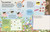 Brain Booster Bugs (Over 100 Brain-Boosting Activities that Make Learning Easy and Fun) by DK, 9780744081497