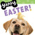 Yappy Easter! by WorthyKids, 9781546006466
